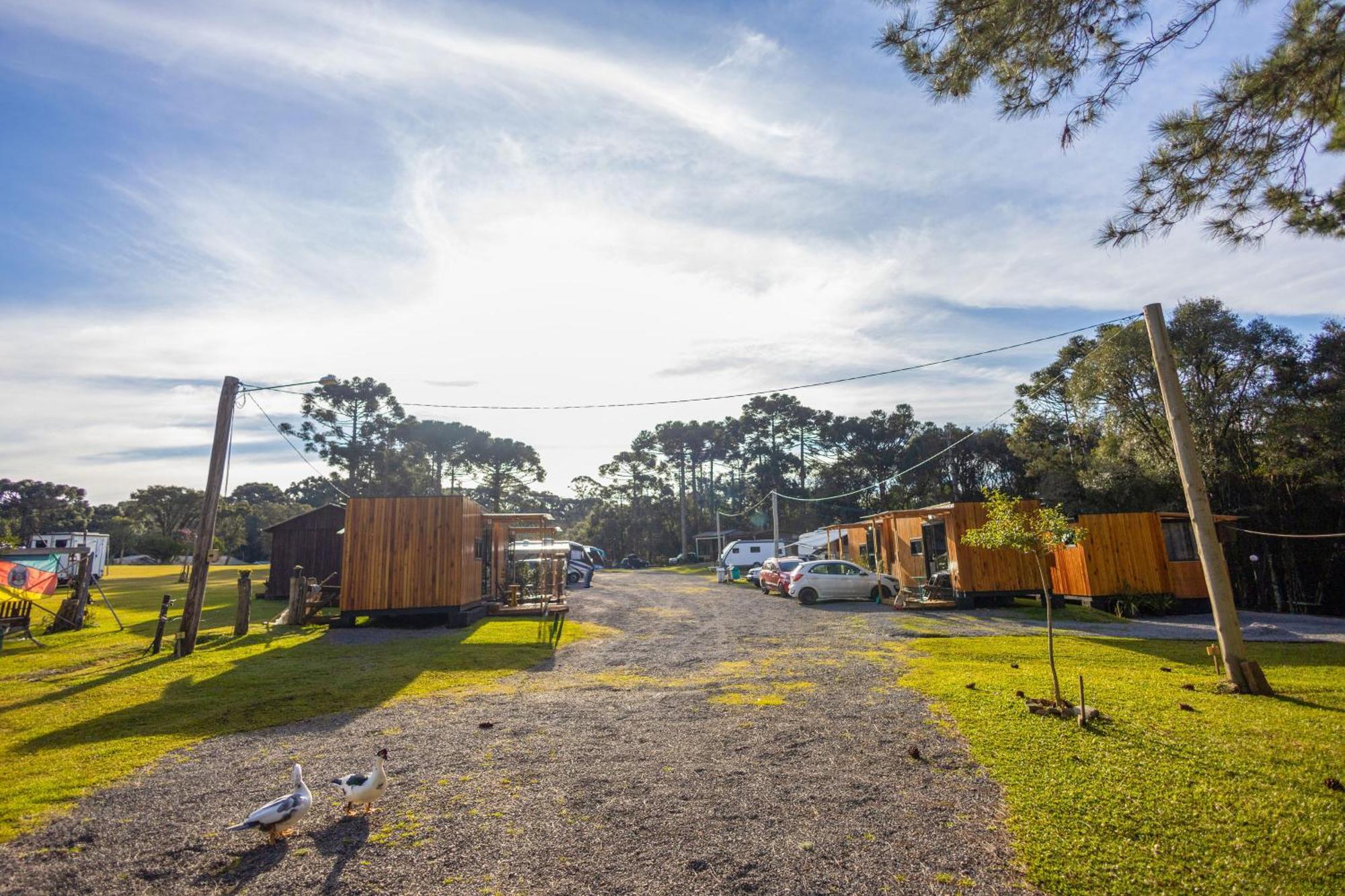 Alojamento de Turismo Selvagem Loft Paraiso