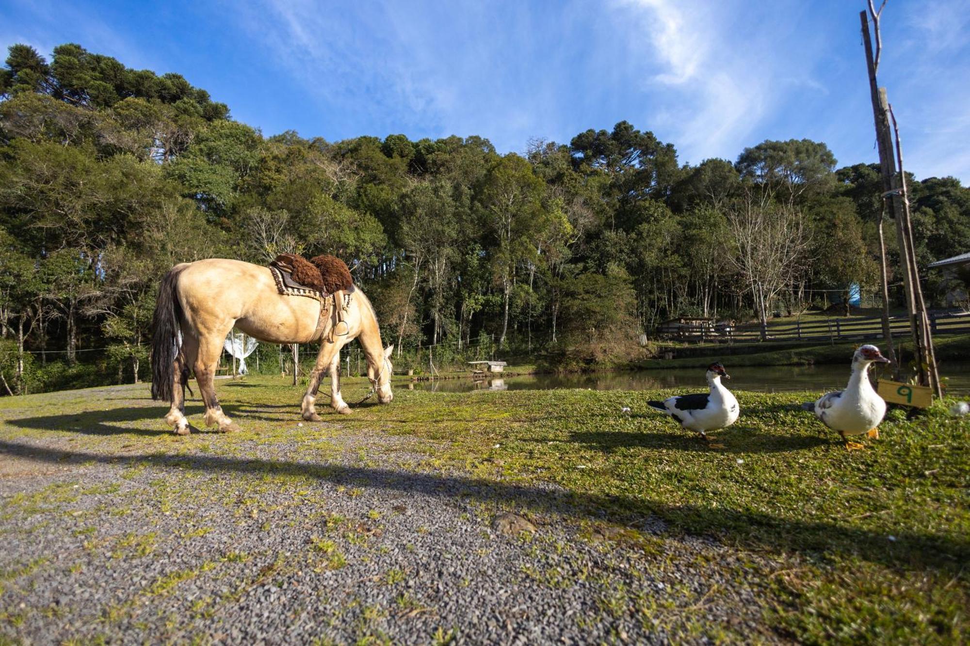 Lodge Loft Paraiso Gramado